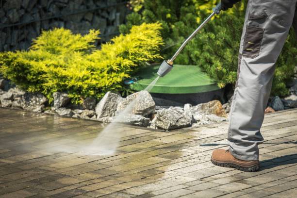 Best Roof Washing  in Glendale, CA